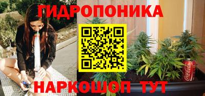 гидра Камышлов