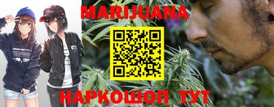гидра Камышлов