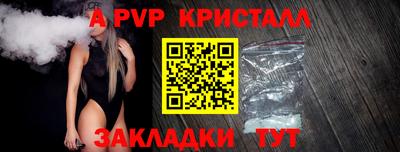 ECSTASY Канаш
