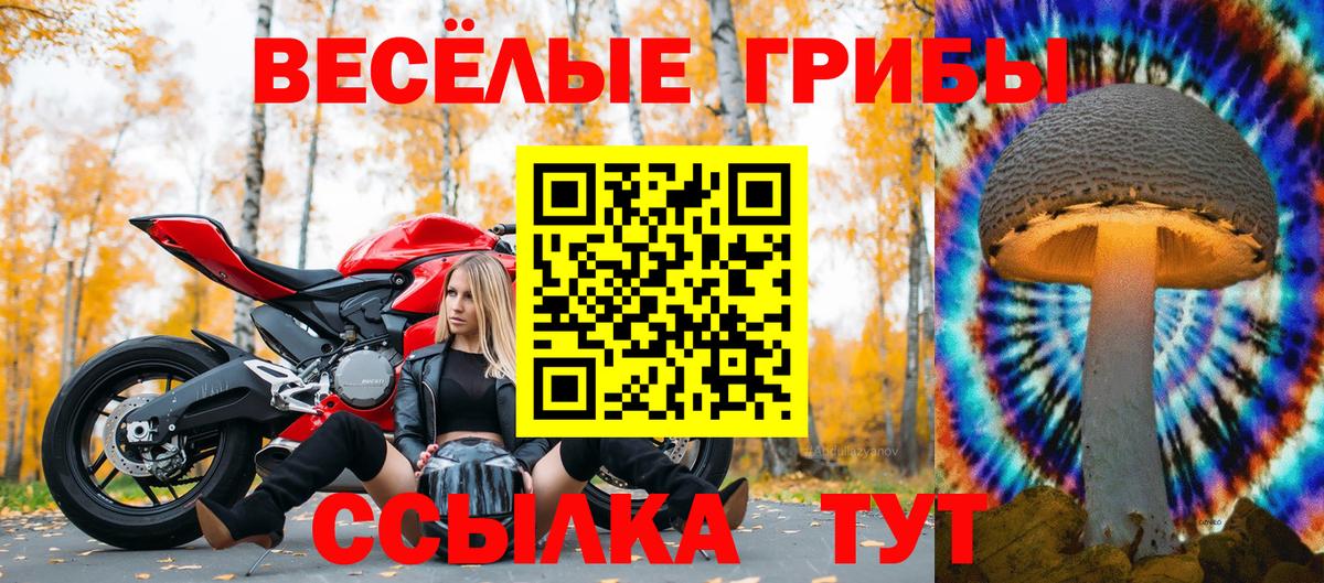 Корсаков  Галлюциногенные грибы мухоморы  Вход с VPN  Псилоцибиновые грибы Magic Shrooms 